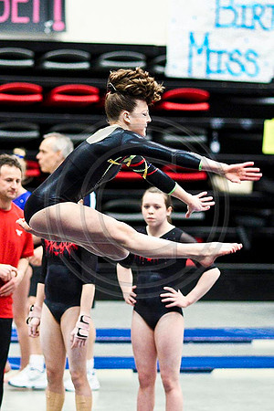 TAZ20108