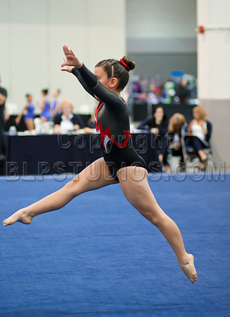 HSM_1421