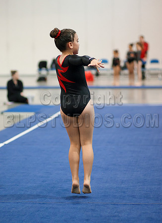 HSM_1433