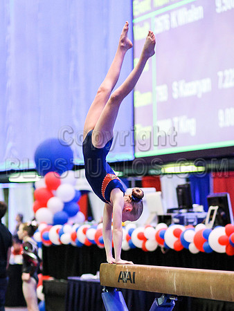 HSM_3288