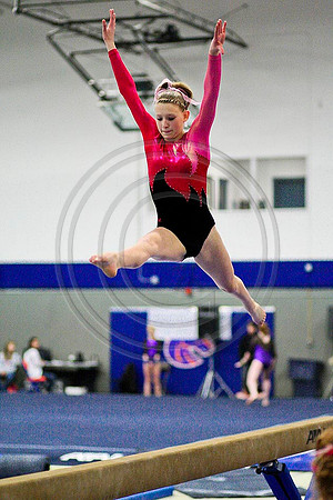 TAZ20085