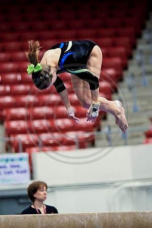 TAZ20119