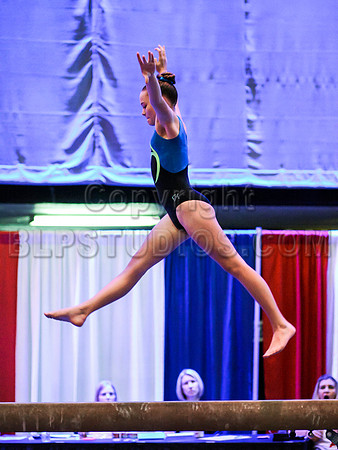 HSM_0567