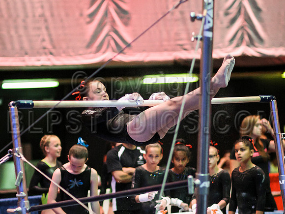 HSM_0101