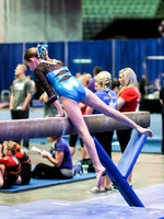 HSM_0234