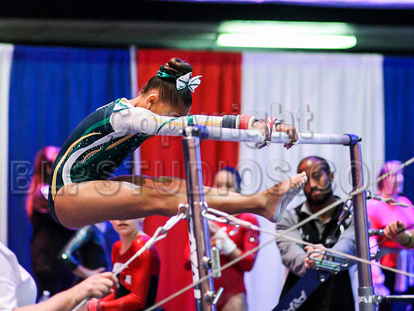 HSM_1493