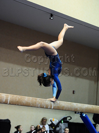BEC_0085