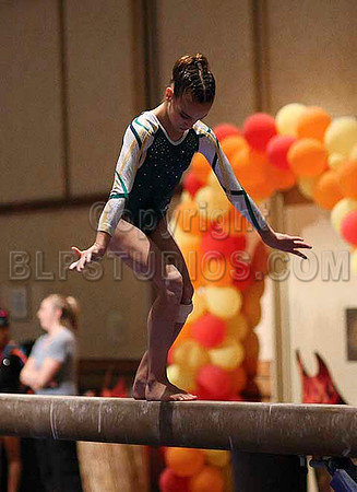 HSM_0394