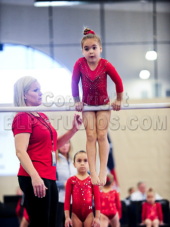BEC_0047