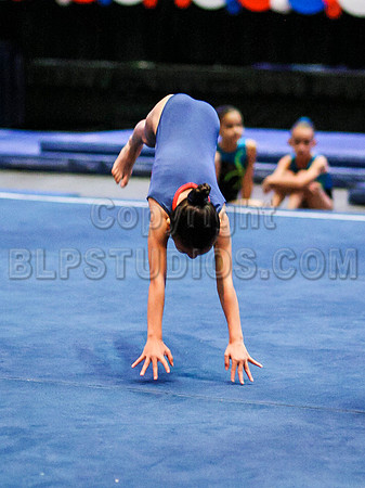 HSM_5237