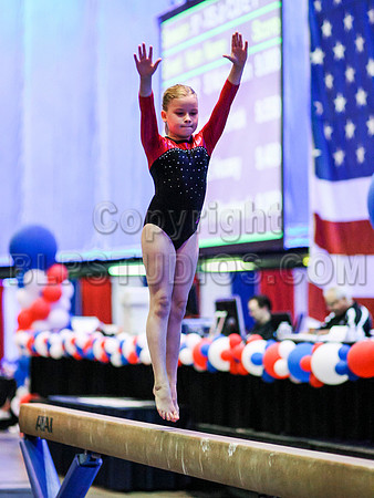 HSM_4585