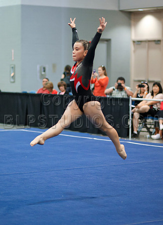 HSM_1409
