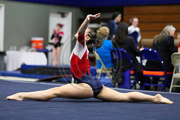 TAZ26934