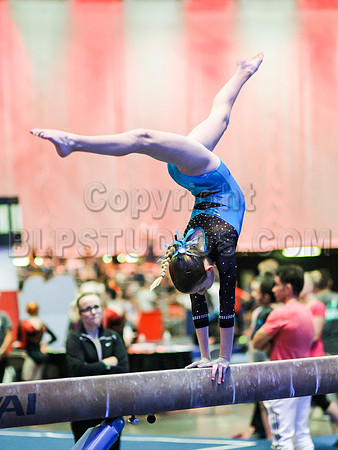 HSM_0255