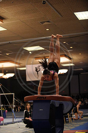 _RFJ9498