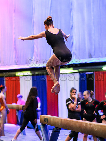 HSM_0480