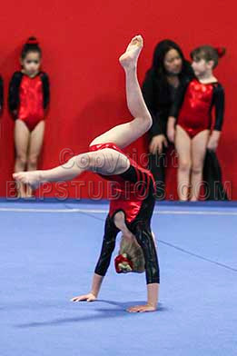 HSM_6293