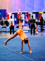 HSM_3524