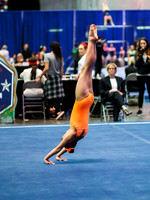 HSM_3539