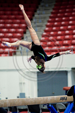TAZ20116