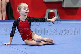 HSM_6331