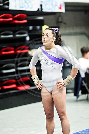 TAZ20667