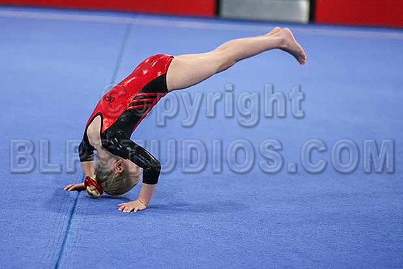 HSM_6309
