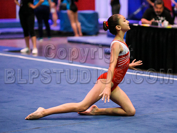 HSM_6847