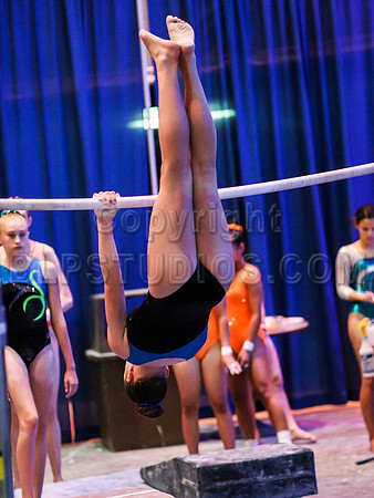 HSM_0254