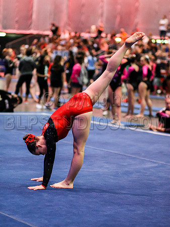 HSM_0322
