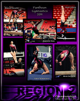 Team Posters 2010 / 2011 Season