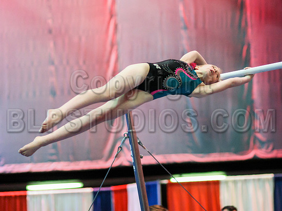 HSM_0342