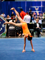 HSM_3531
