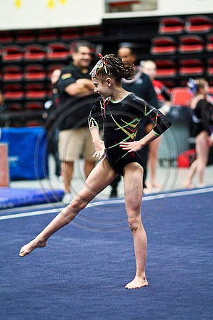 TAZ22011