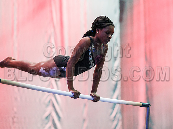HSM_0677