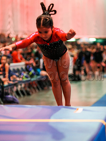 HSM_5586