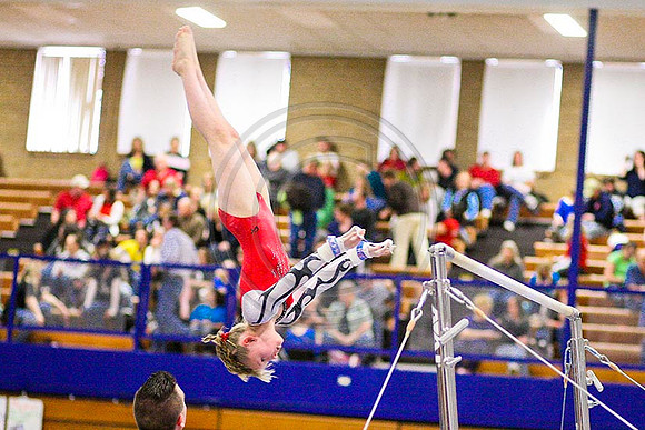TAZ22179