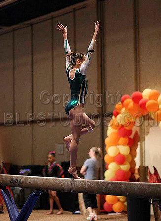 HSM_0392
