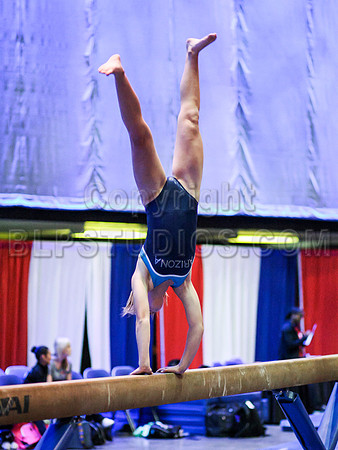 HSM_3095