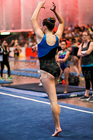 HSM_0951