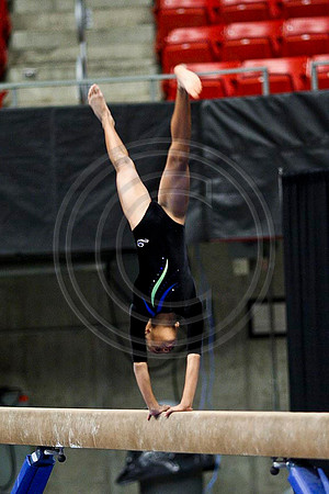 TAZ23979