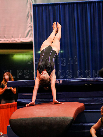 HSM_0963