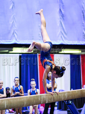 HSM_3319