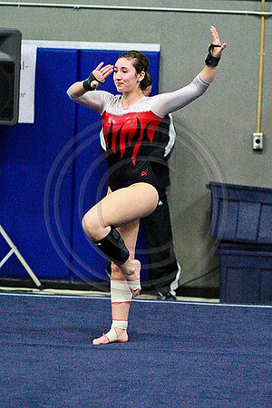 TAZ20993