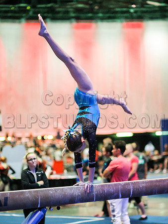 HSM_0256