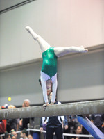 BEC_0013 (1)