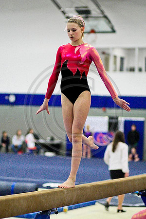 TAZ20092