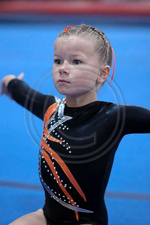 TAZ19356