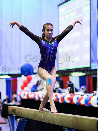 HSM_0249