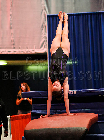 HSM_0962